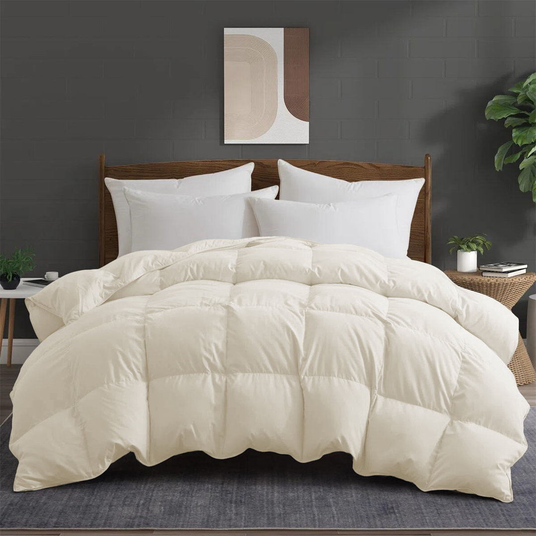 600 Fill Power Goose Down and Feather All Season Comforter Duvet Insert